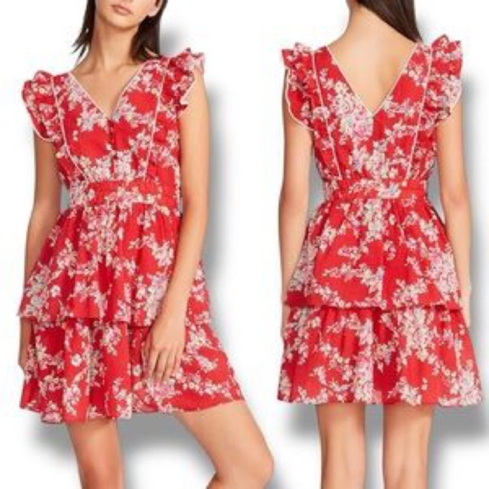 BETSEY JOHNSON Bush Gardens Red Floral Seersucker Ruffle Dress / XL / Like New